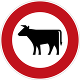 Cattle prohibited.