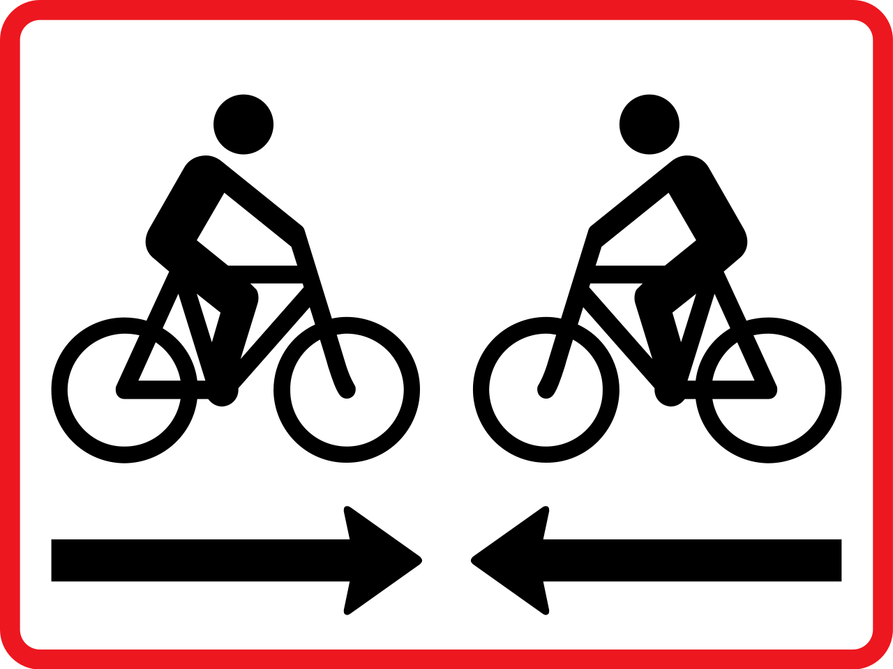 Cyclists from both directions.
