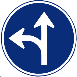 Rechtdoor rijden of linksaf slaan verplicht.