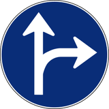 Driving straight ahead or turning right mandatory.