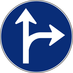 Rechtdoor rijden of rechtsaf slaan verplicht.