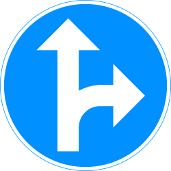 What does this traffic sign mean?