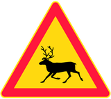 Warning for reindeer on the road.