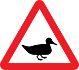 Aviso de patos na faixa de rodagem.