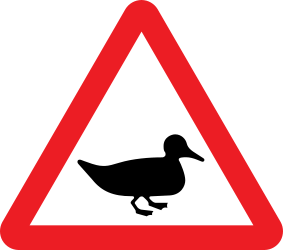 Aviso de patos na faixa de rodagem.