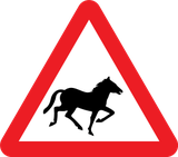 Aviso de cavalos selvagens na faixa de rodagem.