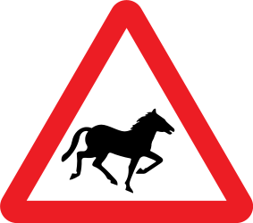 Aviso de cavalos selvagens na faixa de rodagem.
