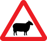 Aviso de ovelhas na faixa de rodagem.