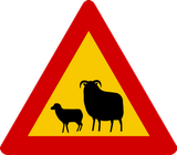 Warning for sheep on the road.