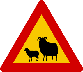 Warning for sheep on the road.