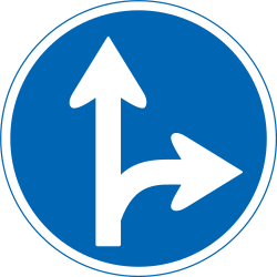 Driving straight ahead or turning right mandatory.