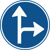 Obrigatório seguir em frente ou virar à direita.