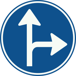 Obrigatório seguir em frente ou virar à direita.