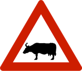 Warnung vor Rindern auf der Fahrbahn.