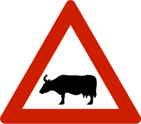 Warnung vor Rindern auf der Fahrbahn.