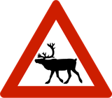 Warnung vor Rentieren auf der Fahrbahn.