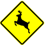 Warning for crossing deer.