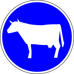 Vorgeschriebener Weg für Rinder.