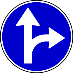 Obrigatório seguir em frente ou virar à direita.