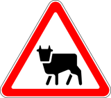 Warnung vor Rindern auf der Fahrbahn.