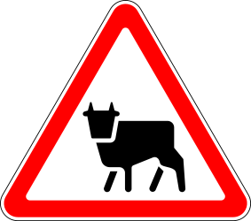 Warnung vor Rindern auf der Fahrbahn.