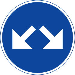 What does this traffic sign mean?