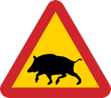 Warnung vor Wildschweinen auf der Fahrbahn.