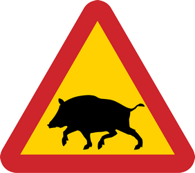Warnung vor Wildschweinen auf der Fahrbahn.