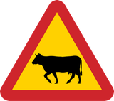 Warnung vor Rindern auf der Fahrbahn.