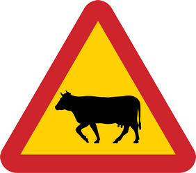 Warnung vor Rindern auf der Fahrbahn.