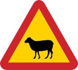Warnung vor Schafen auf der Fahrbahn.