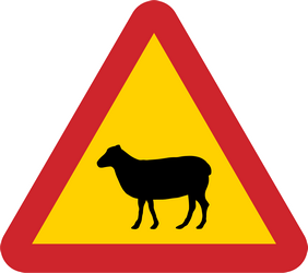 Warnung vor Schafen auf der Fahrbahn.