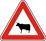 Advertencia de ganado en la calzada.