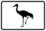 For flamingos.