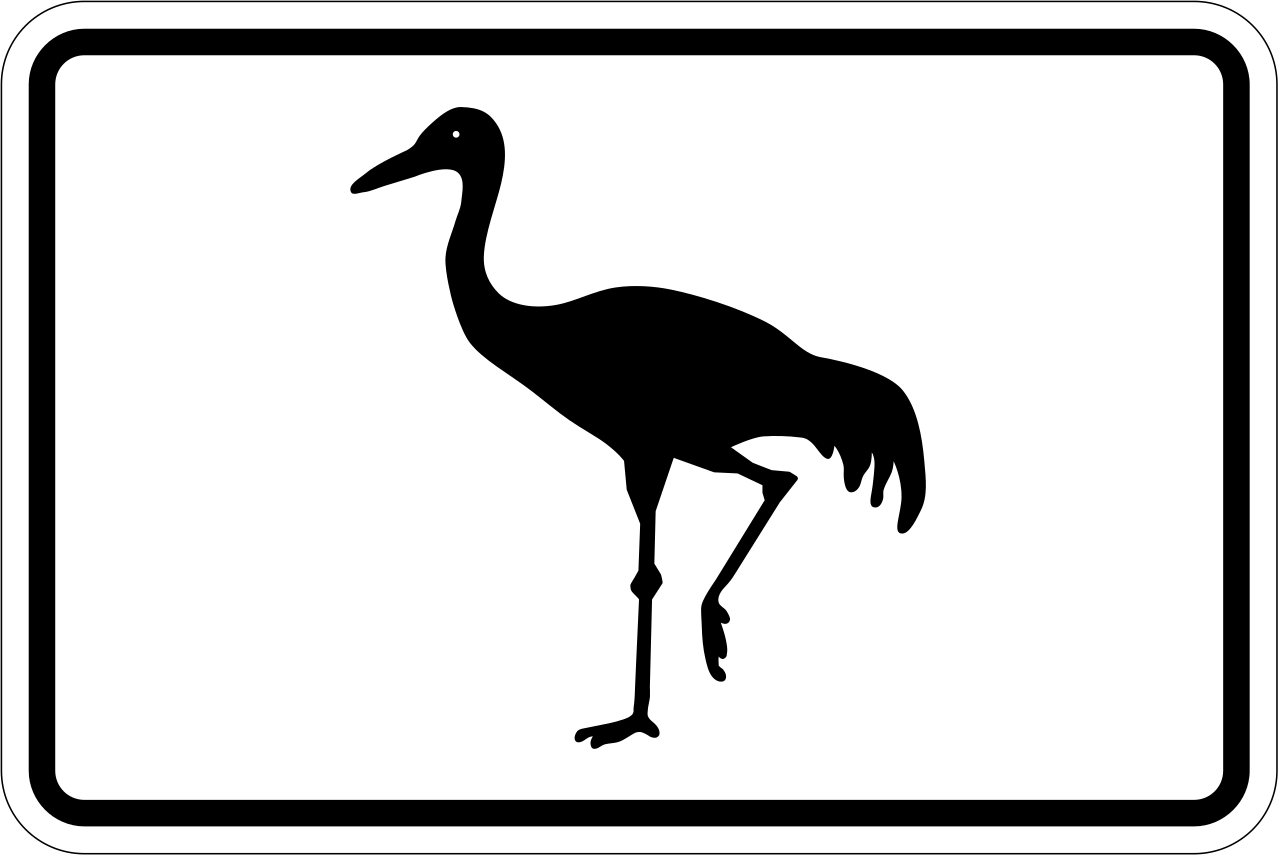 Para flamencos.