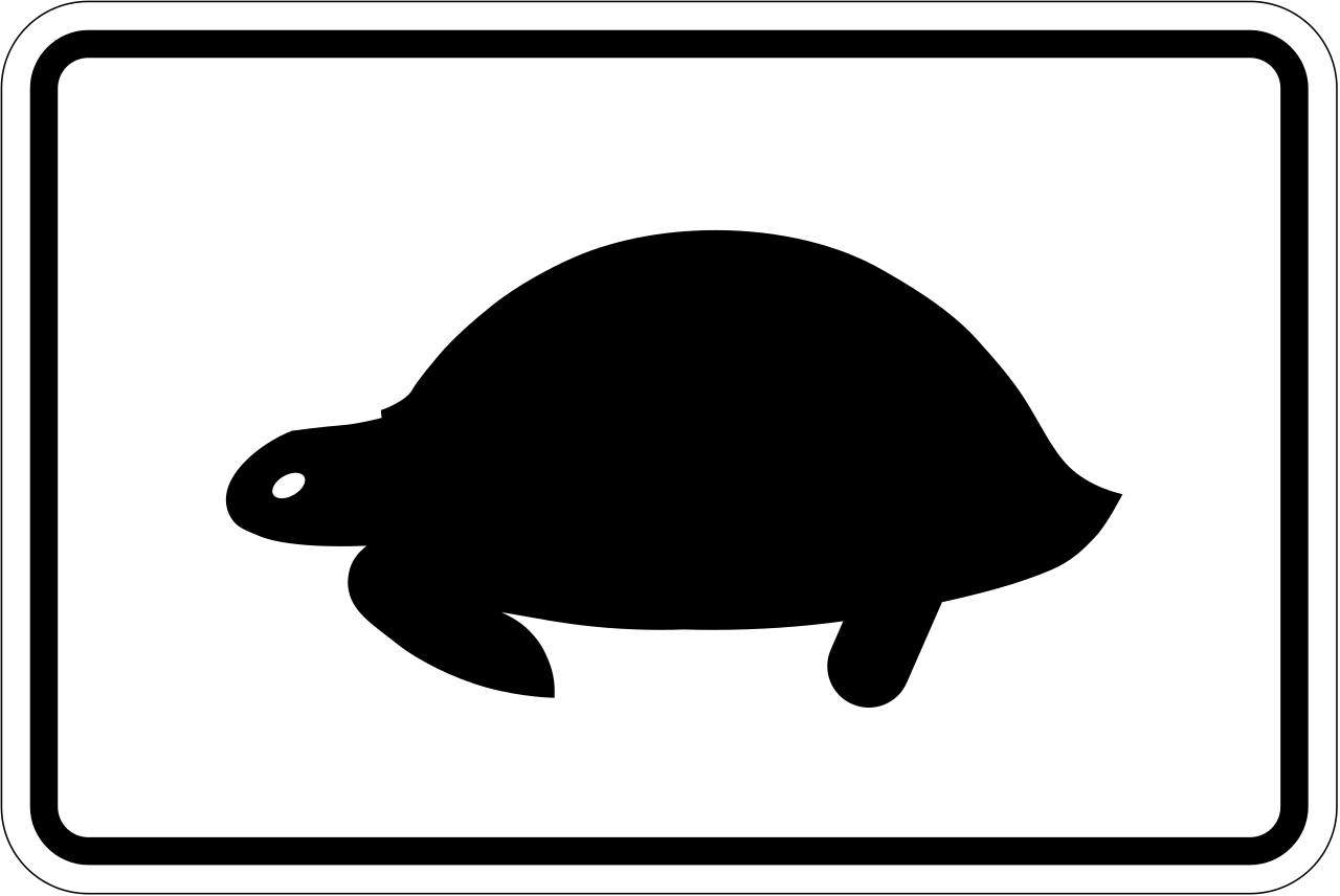 Para tortugas.