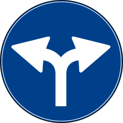 What does this traffic sign mean?