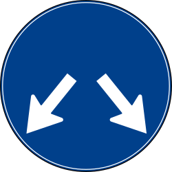 What does this traffic sign mean?