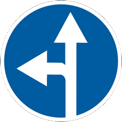 Rechtdoor rijden of linksaf slaan verplicht.