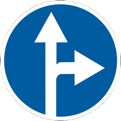 Rechtdoor rijden of rechtsaf slaan verplicht.