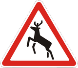 Warning for crossing deer.