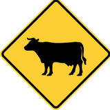 Warning for cattle on the road.