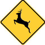 Warning for crossing deer.