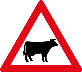 Warnung vor Rindern auf der Fahrbahn.