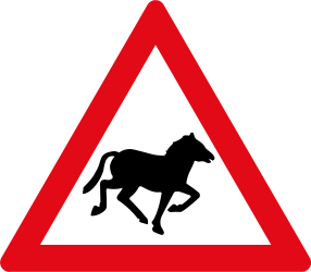 Warnung vor Wildpferden auf der Fahrbahn.