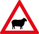 Warnung vor Schafen auf der Fahrbahn.
