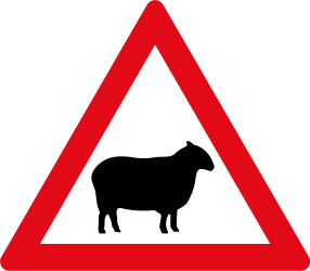 Warnung vor Schafen auf der Fahrbahn.